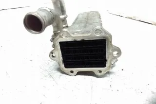 038131513AD Радиатор EGR Volkswagen Golf 6 Арт e12583141, вид 3