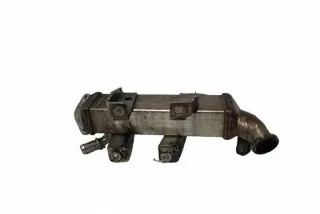 8200719993C Радиатор EGR Nissan Qashqai 2 Арт e12582188, вид 1