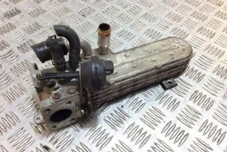 03G131513J Радиатор EGR Audi A4 B6 Арт e12579856, вид 1