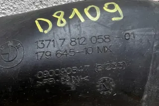 13717812058 Гофра инжектора BMW X5 E70 Арт e12563282, вид 2