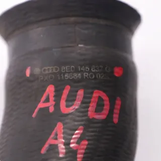 8E0145837 Гофра инжектора Audi A4 B6 Арт e12561808, вид 6