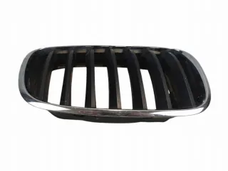 7171396 Решетка радиатора BMW X5 E70 Арт e12560252, вид 1