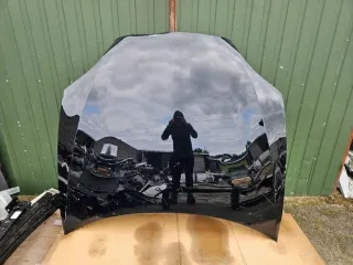 1051875-E0-G Капот Tesla model S Арт e12557660, вид 1