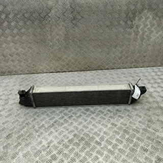197105BFAA030 Интеркулер Honda Civic 10 Арт e12524090, вид 1