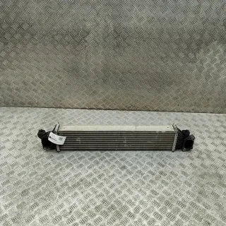 197105BFAA030 Интеркулер Honda Civic 10 Арт e12524090, вид 4