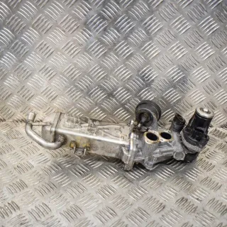 0280751016 Радиатор EGR Volkswagen Passat B7 Арт e12500153, вид 1