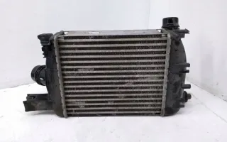 144967634R Интеркулер Dacia Dokker Арт e12495887, вид 4
