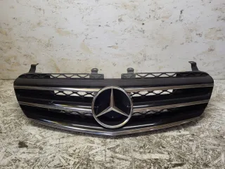 A2518880623 Решетка радиатора Mercedes R W251 Арт e12481523, вид 1