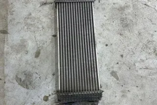 W164 A2515000000 Интеркулер Mercedes ML W164 Арт e12408130, вид 1