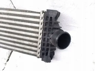 GK216K775AE Интеркулер Ford Transit Custom Арт e12407980, вид 2