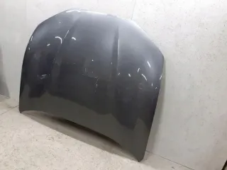  Капот Ford Mustang Mach-E Арт e12386049, вид 3