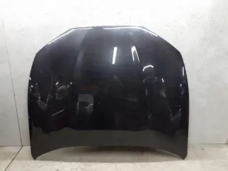  Капот Ford Mustang Mach-E Арт e12386048, вид 1