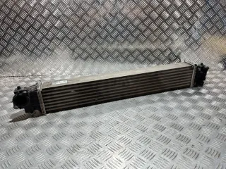 19710-5AA-A01 Интеркулер Honda Civic 10 Арт e12360955, вид 2