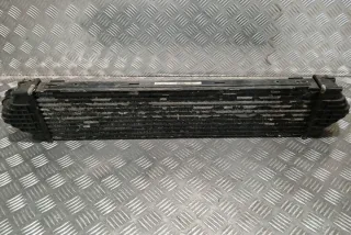 6G919L440FC Интеркулер Ford C-max 2 Арт e12360794, вид 1