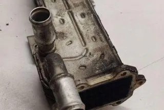038131513AD Радиатор EGR Volkswagen Passat B6 Арт e12358492, вид 1