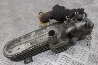 03G131513J Радиатор EGR Volkswagen Passat B6 Арт e12358491, вид 1