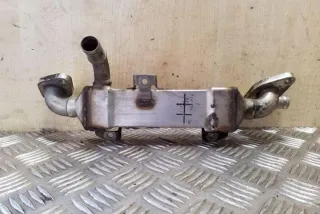 038131513L Радиатор EGR Ford Galaxy 3 Арт e12357329, вид 2