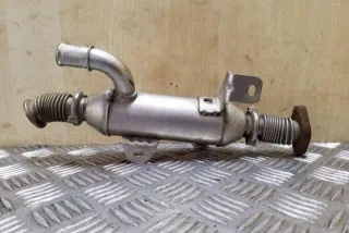 861059G Радиатор EGR Citroen C3 1 Арт e12357192, вид 1