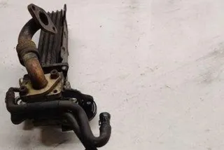 1723493 Радиатор EGR Audi A4 B7 Арт e12356530, вид 1