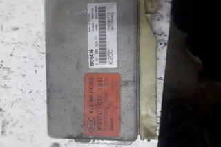 0261206424 Блок управления двигателем Kia Carens 1 Арт e12318145, вид 1