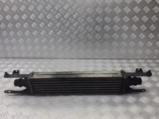 440926702 Интеркулер Opel Corsa D Арт e12304446, вид 1