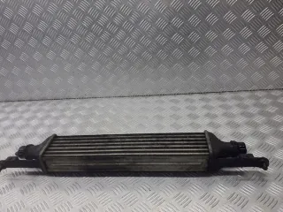 440926702 Интеркулер Opel Corsa D Арт e12304446, вид 3