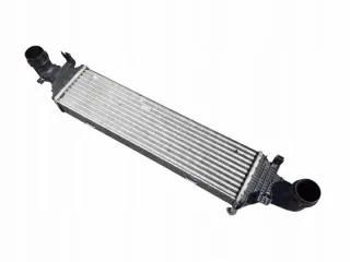 A2045000200 Интеркулер Mercedes E C207 Арт e12304421, вид 1