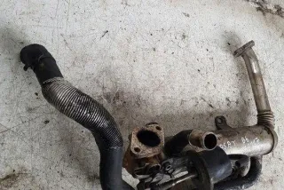 03G131512 Радиатор EGR Volkswagen Passat B6 Арт e12303767, вид 2