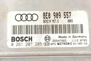 8E0909557 Блок управления двигателем Audi A4 B7 Арт e12290275, вид 1