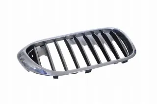 7390866 Решетка радиатора BMW 5 G30/G31 Арт e12289907, вид 1