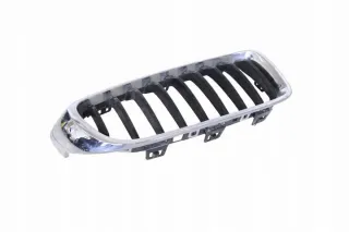 7294814 Решетка радиатора BMW 4 F32/F33/GT F36 Арт e12289884, вид 1