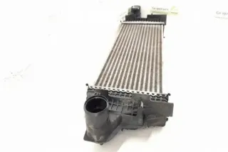 W251, 2515000000 Интеркулер Mercedes R W251 Арт e12270988, вид 2