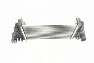 W251, 2515000000 Интеркулер Mercedes R W251 Арт e12270988, вид 3