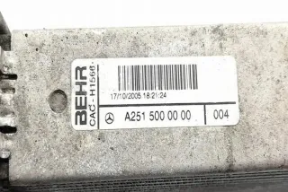 W251, 2515000000 Интеркулер Mercedes R W251 Арт e12270988, вид 4
