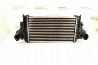 W251, 2515000000 Интеркулер Mercedes R W251 Арт e12270988, вид 7