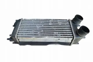 AV219L440AB Интеркулер Ford Fiesta 6 Арт e12270846, вид 1