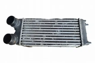 AV219L440AB Интеркулер Ford Fiesta 6 Арт e12270846, вид 2