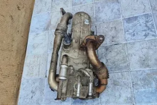 038131513AD Радиатор EGR Volkswagen Golf 4 Арт e12268705, вид 3