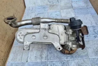 038131513AD Радиатор EGR Volkswagen Golf 4 Арт e12268705, вид 4