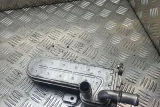 038131513D Радиатор EGR Volkswagen Golf 4 Арт e12268695, вид 3