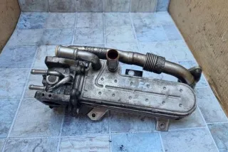 1723493 Радиатор EGR Volkswagen Golf 5 Арт e12268676, вид 1