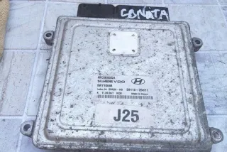3911025071 Блок управления двигателем Hyundai Sonata (NF) Арт e12242161, вид 1