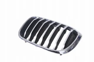 7440853 Решетка радиатора BMW X3 G01 Арт e12238510, вид 1