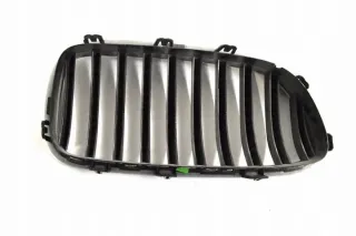 7412323 Решетка радиатора BMW 5 F10/F11/GT F07 Арт e12238316, вид 2