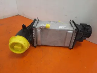 GV020006 Интеркулер Volkswagen Golf 8 Арт e12212840, вид 1