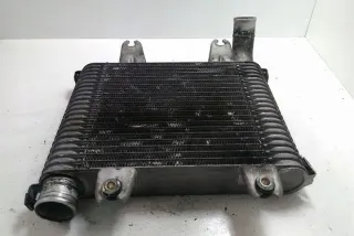 OK55313550 Интеркулер Kia Carnival 2 Арт e12212745, вид 1