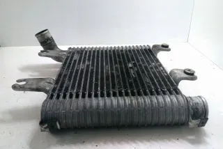OK55313550 Интеркулер Kia Carnival 2 Арт e12212745, вид 4