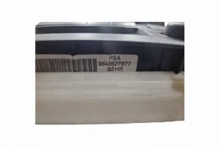 9646627977 Блок управления (другие) Peugeot 307 Арт e12211818, вид 2