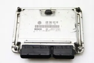 038906019NS Блок управления двигателем Skoda Fabia 2 Арт e12173608, вид 1
