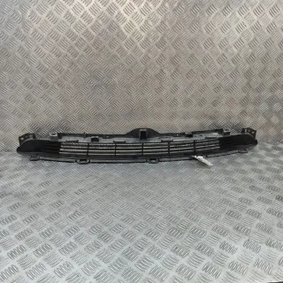 108592700C Решетка радиатора Tesla model 3 Арт e12168294, вид 1